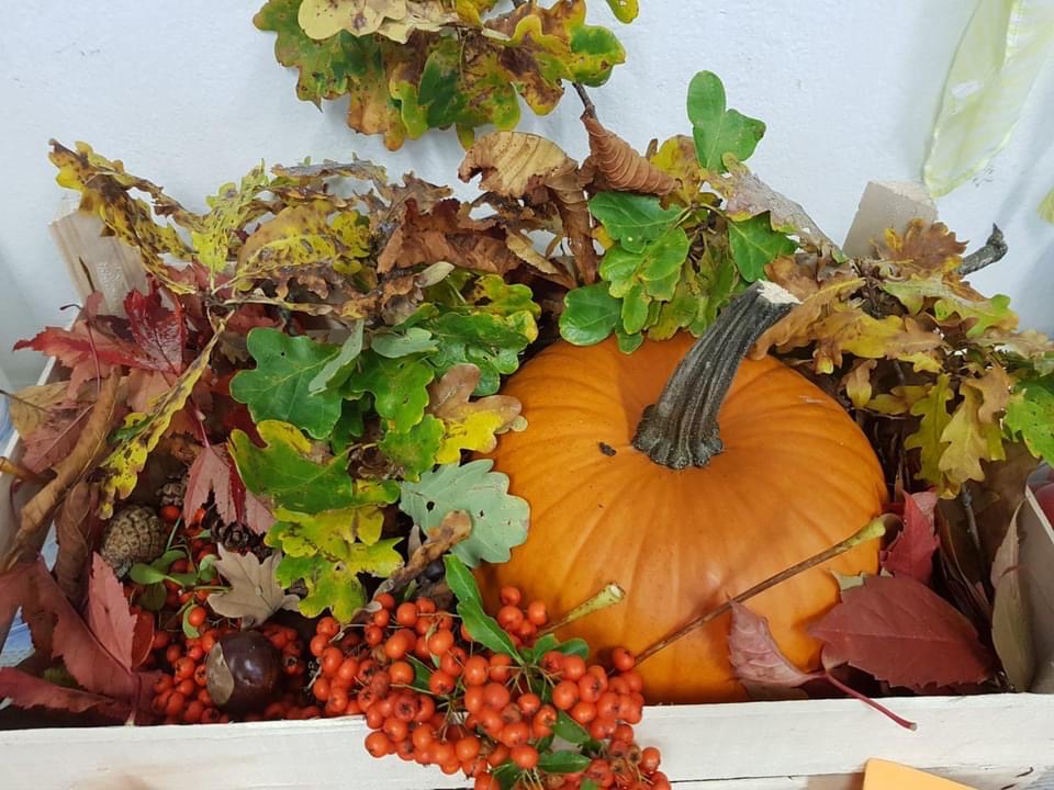 Złota polska jesień